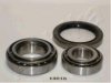 ASHIKA 44-13010 Wheel Bearing Kit